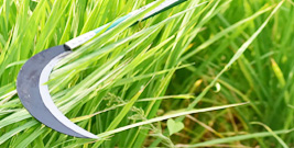 重慶機(jī)械制造公司 重慶機(jī)械制造公司